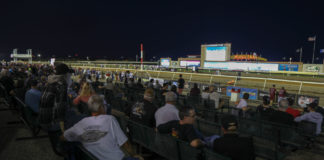 The American Flat Track event at the Minnesota Mile. Photo by Scott Hunter, courtesy of AFT.