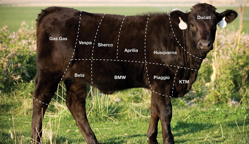 The proposed increase in tariffs on motorcycles imported to the U.S. from Europe was originally a response to the European Union increasing tariffs on American beef. Image courtesy of American Motorcyclist Association (AMA).