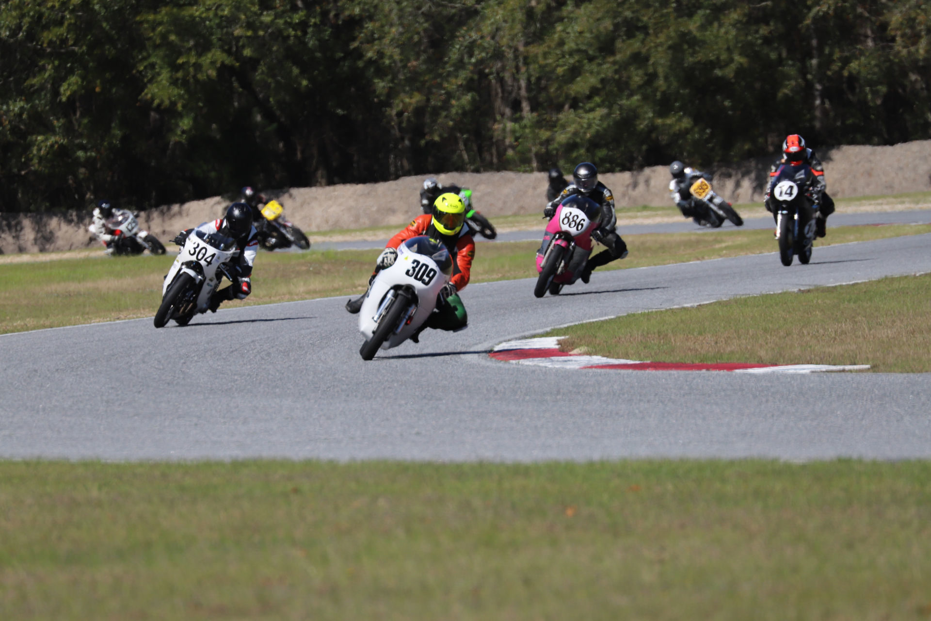 Tim Joyce (309) leads Kevin Dinsmoor (304), Buff Harsh (886), Brian Larrabure (14), and others during an AHRMA Vintage Cup race at Roebling Road Raceway. Photo by etechphoto.com, courtesy of AHRMA.