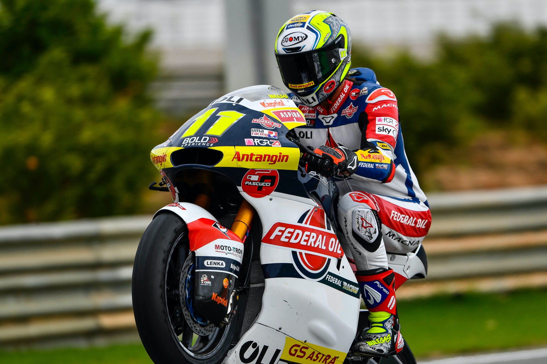 Nicolo Bulega (11). Photo courtesy Gresini Racing.