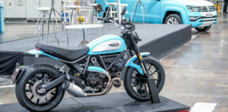 A Ducati Scrambler Icon customized with colors from the Argentinian flag. Photo courtesy Ducati.