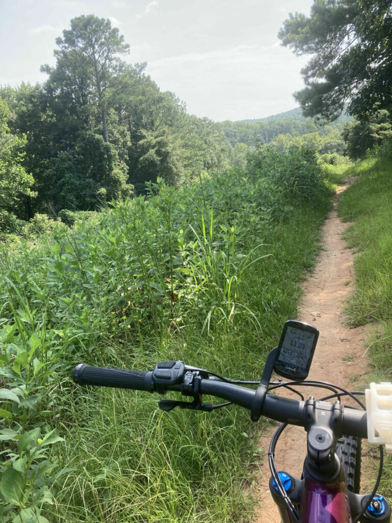 The view from behind the bars of a Liv Intrigue X E+ 1 electric mountain bike. Photo by Anne Roberts.