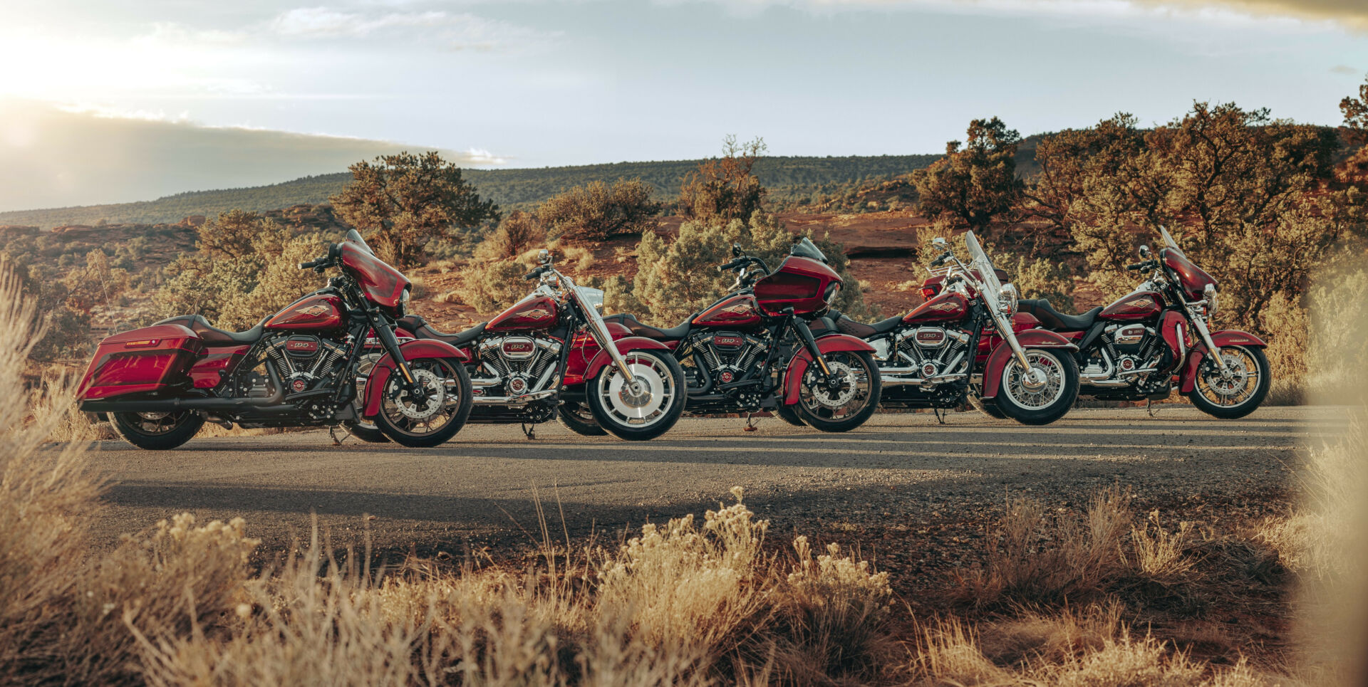 Harley-Davidson's 120th Anniversary collection of models. Photo courtesy Harley-Davidson.