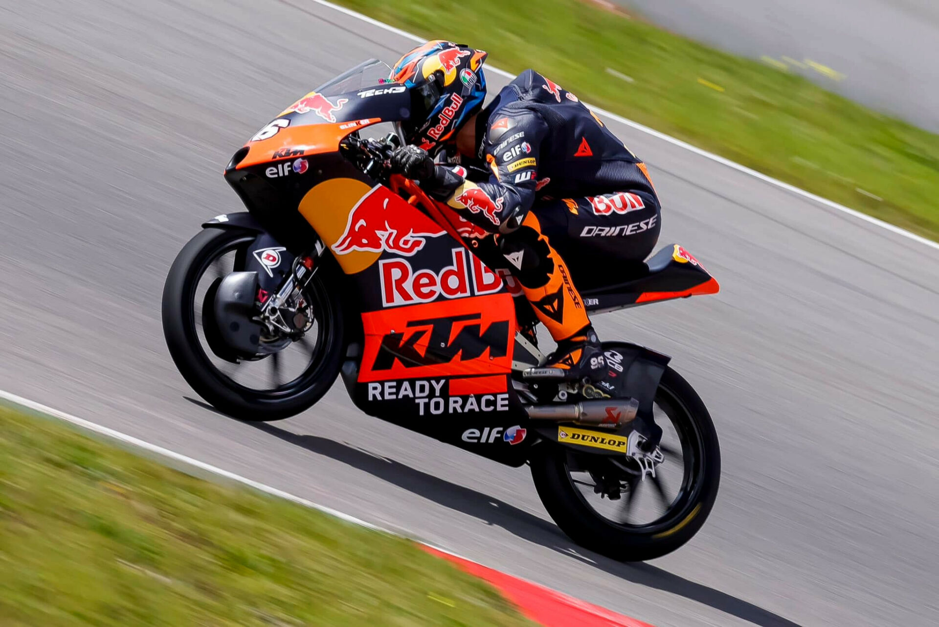 Daniel Holgado (96). Photo courtesy Red Bull KTM Tech3.