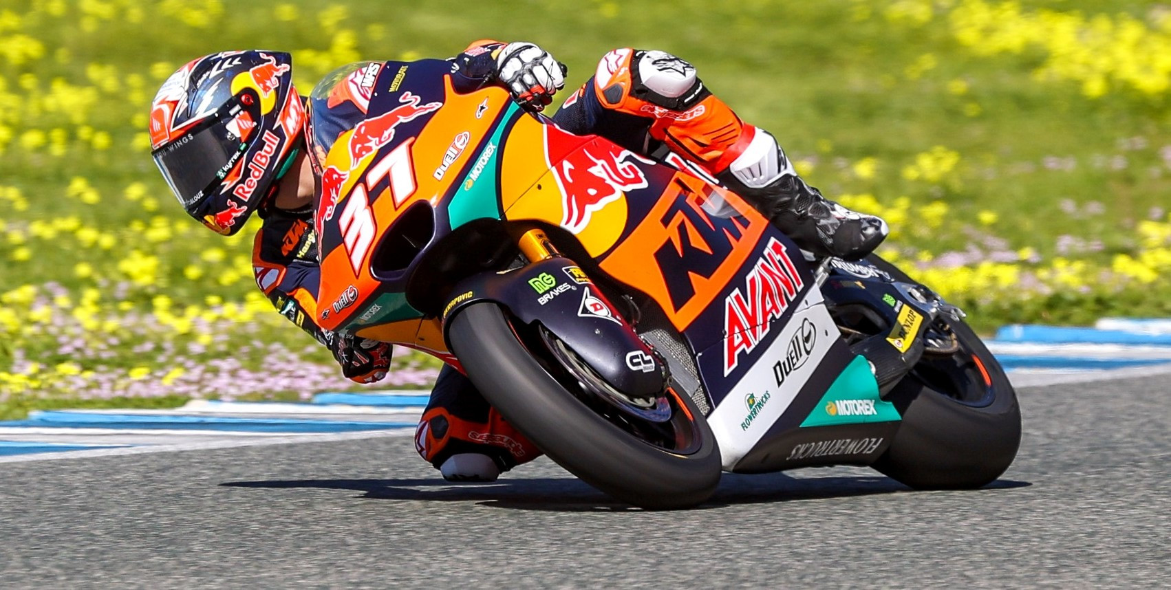 Pedro Acosta (37). Photo courtesy Red Bull KTM Ajo.