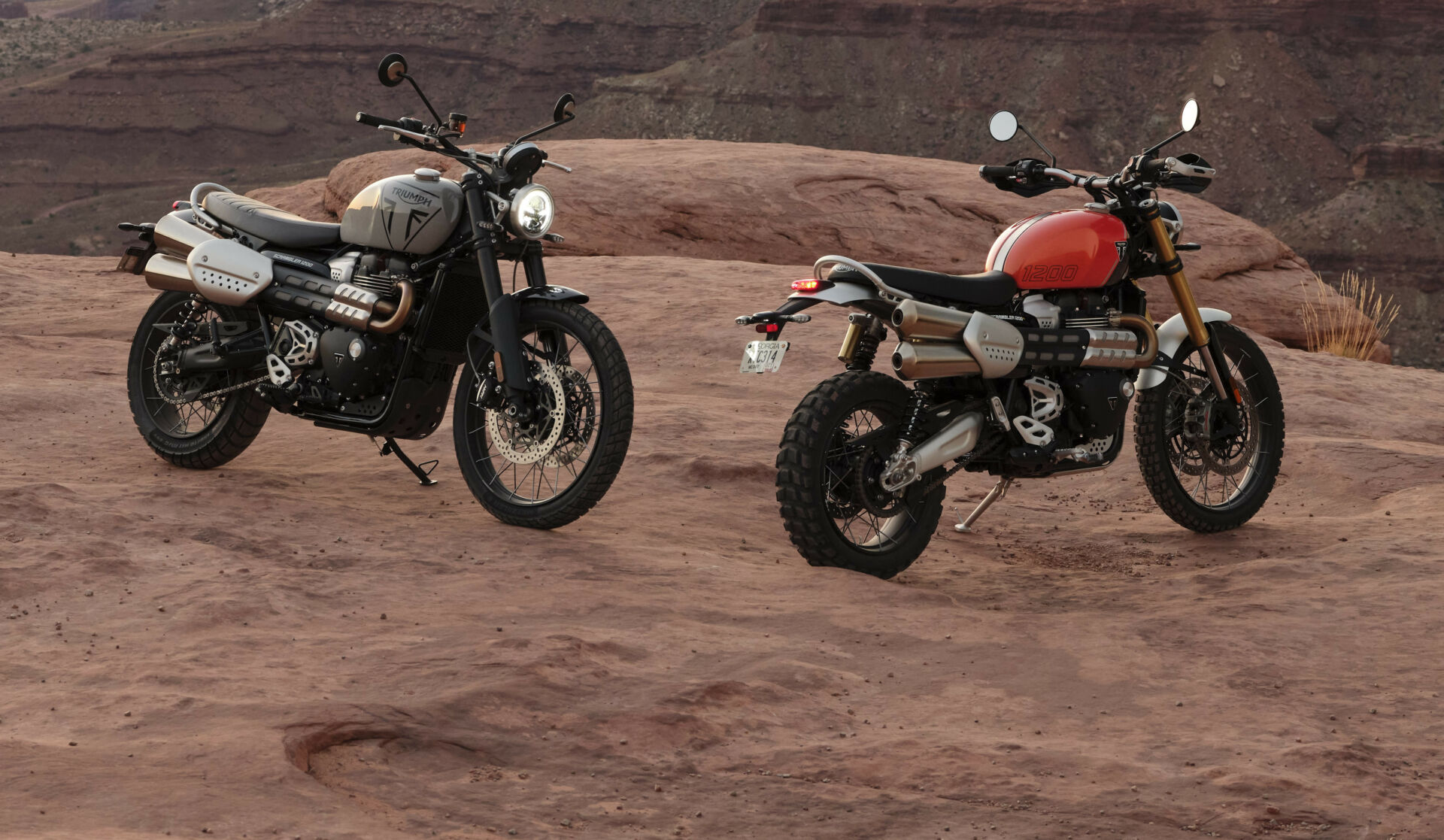 Triumph's 2024 Scrambler 1200 X (left) and Scrambler 1200 XE (right). Photo courtesy Triumph.