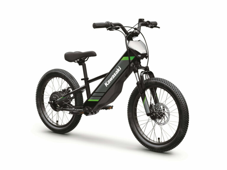 Kawasaki Selling 2025 Elektrode 20 Online