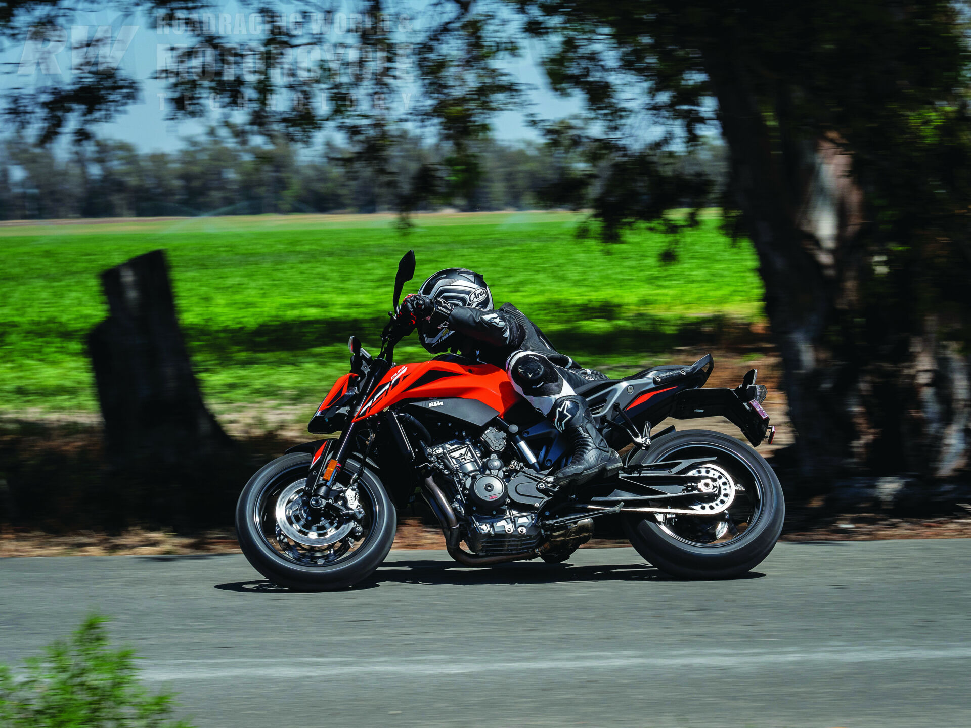 Duke 790 on sale