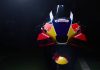 MotoGP: Honda HRC and Red Bull Reunite for Multi-Year Deal image