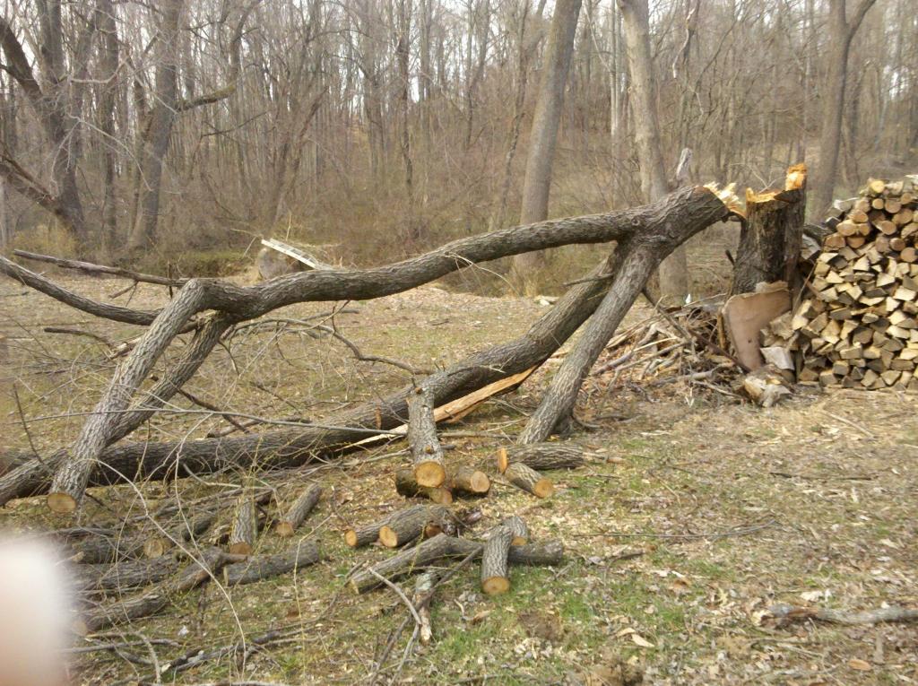 The Tree That Tried To Kill Two-Time AMA Grand National Champion Gary Nixon