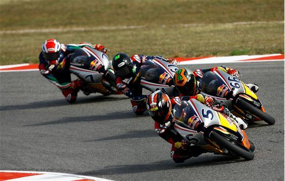 Red Bull MotoGP Rookies Cup At Misano: Alt Wins Race, Baldassarri Wins Title